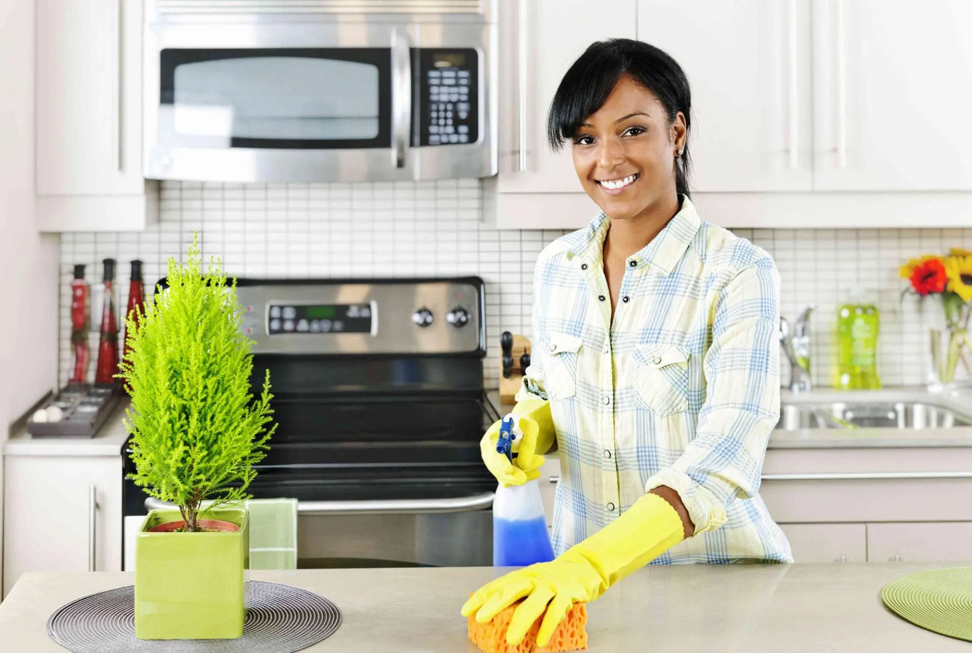 House Cleaning thumbnail 4