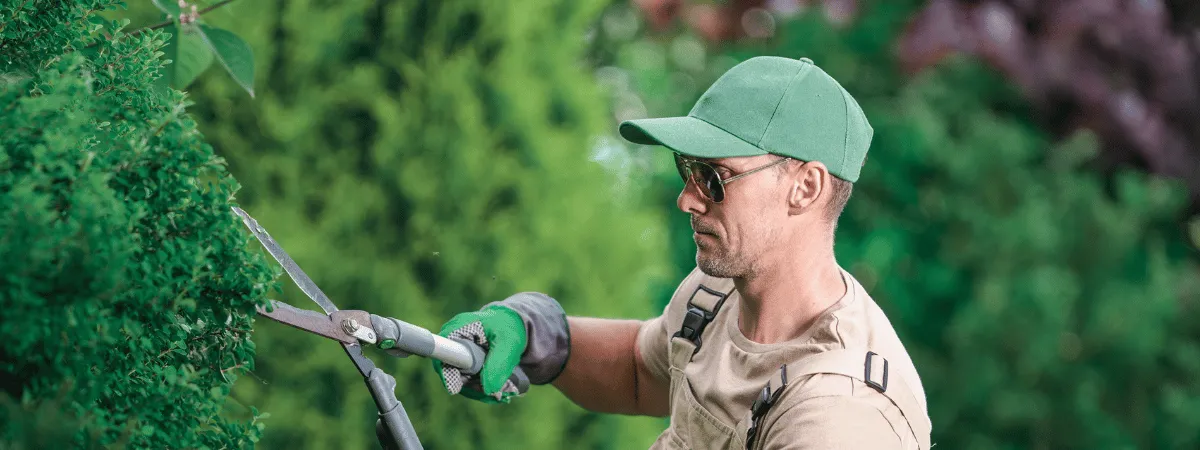 Landscaping Services thumbnail 5