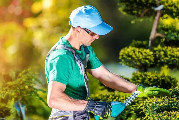 Landscaping Services thumbnail 3