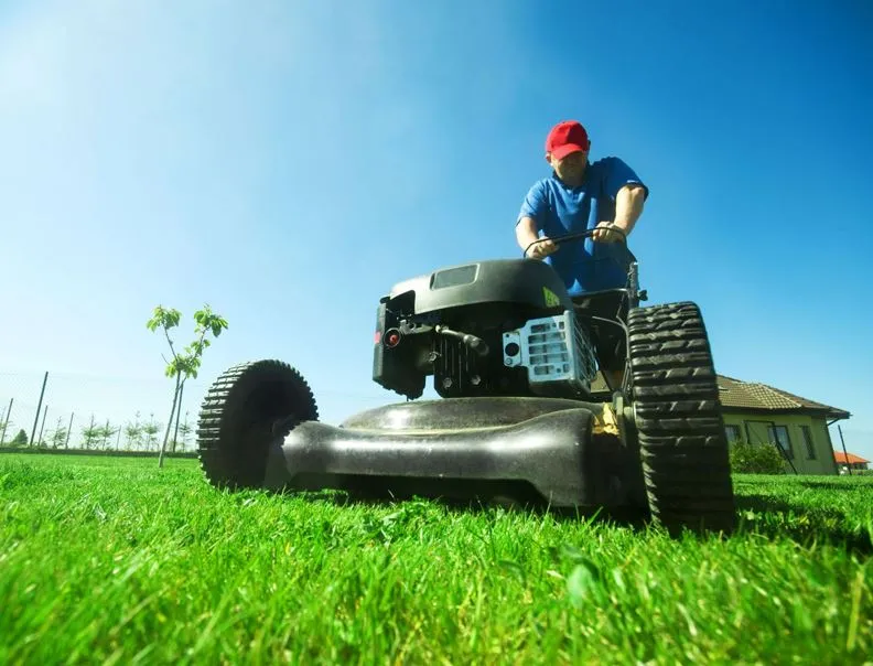 Landscaping Services thumbnail 2