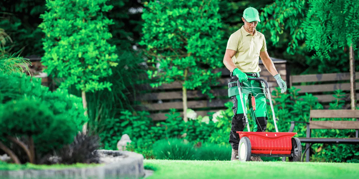 Landscaping Services process diagram or service image 1