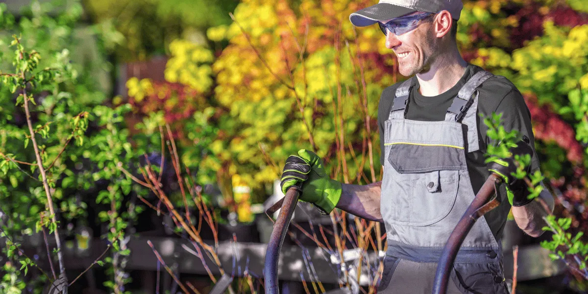 Landscaping Services thumbnail 4