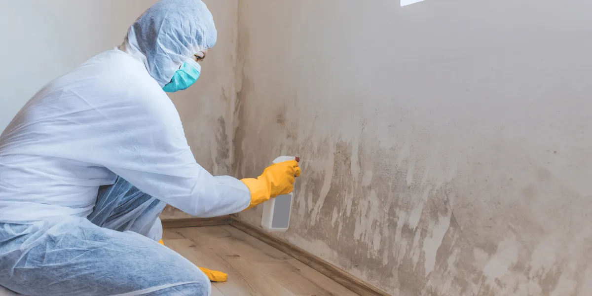Mold Services thumbnail 4