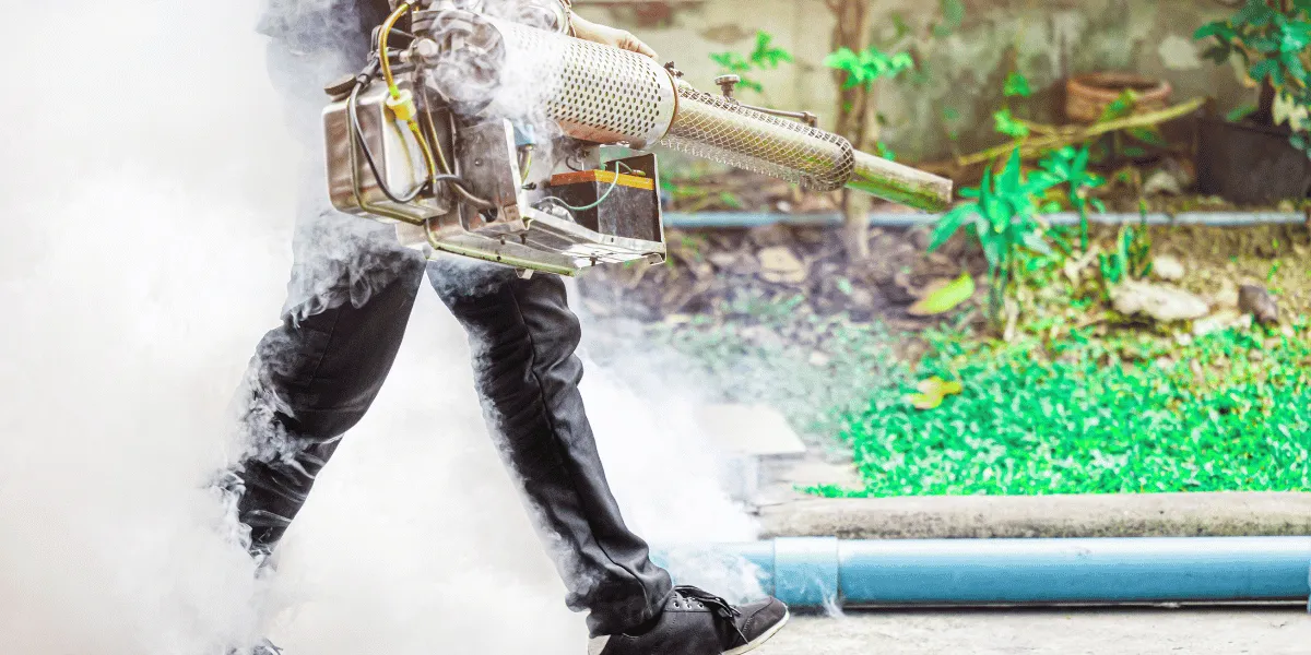 Pest Control thumbnail 3