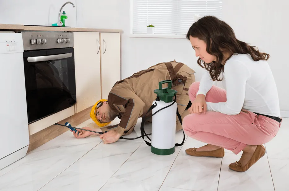 Pest Control thumbnail 4
