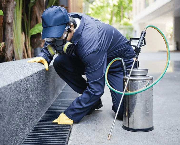 Pest Control thumbnail 5
