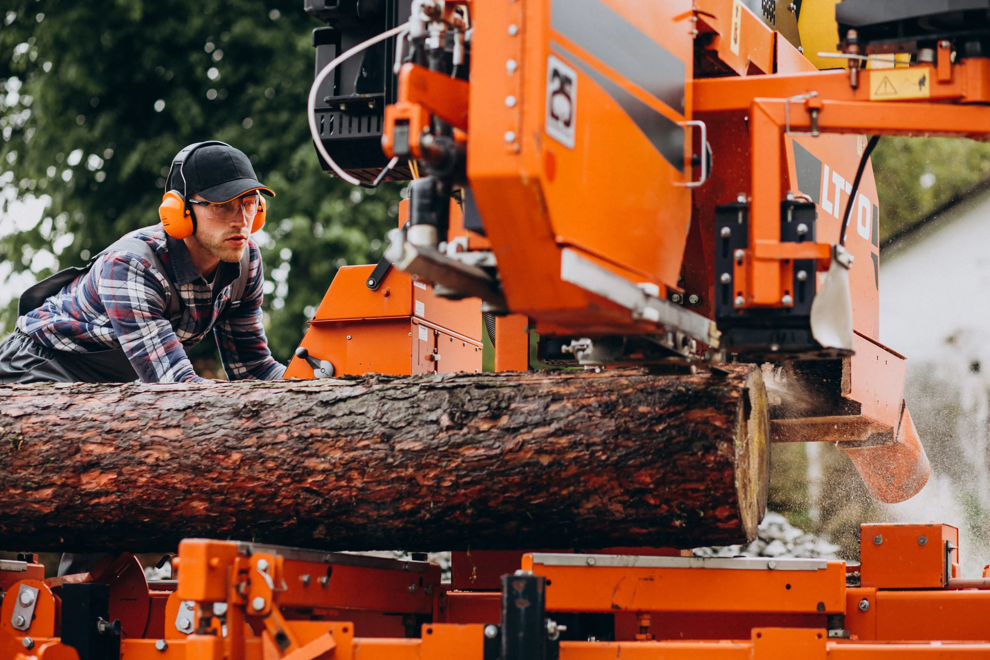 Tree Service process diagram or service image 1