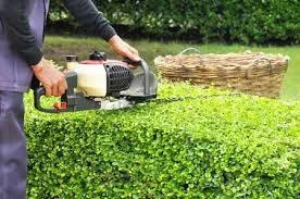 Tree Service thumbnail 3